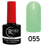 GEL POLİSH COLOR 055
