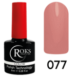 GEL POLİSH COLOR 077